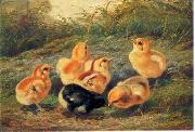 unknow artist chickens 196 painting